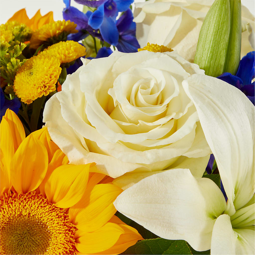 Stargazing Bouquet –  The Country Florist, Armour SD
