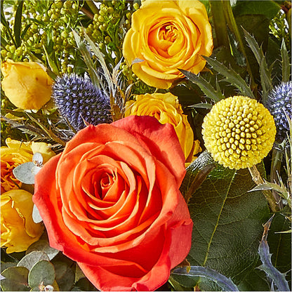 Disco Bouquet –  The Country Florist, Armour SD