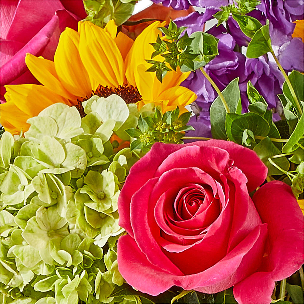 Vibrant Greetings Bouquet –  The Country Florist, Armour SD