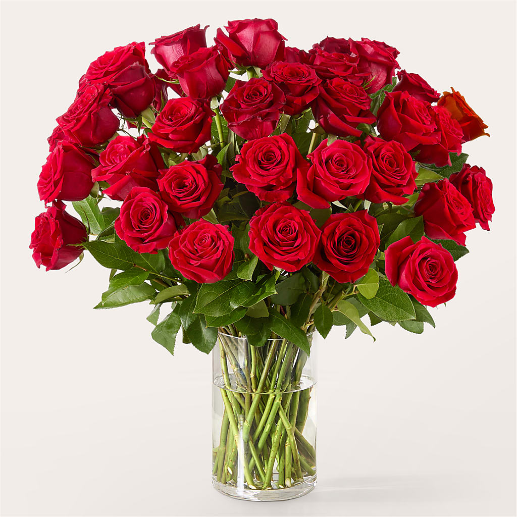 The One Red Rose Bouquet –  The Country Florist, Armour SD