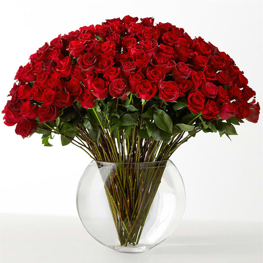 The Idealist –  The Country Florist, Armour SD