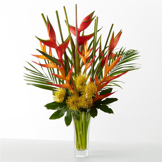 The Drama –  The Country Florist, Armour SD