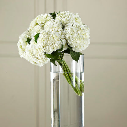 White Hydrangea Hand-Tied Bouquet –  The Country Florist, Armour SD