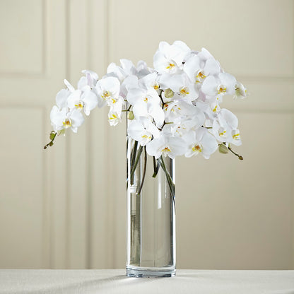 White Phalaenopsis Bouquet –  The Country Florist, Armour SD